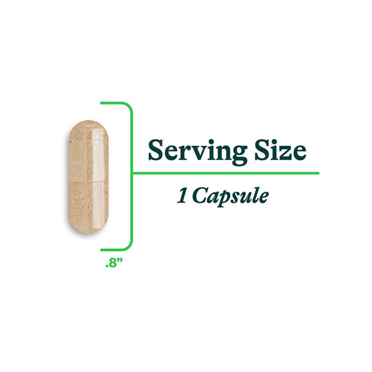 Saccharomyces Boulardii Supplement Capsule