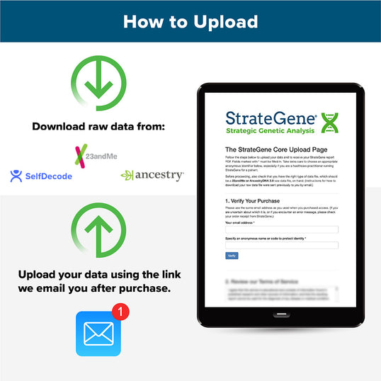 StrateGene Report