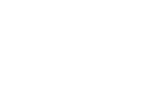 Play Icon